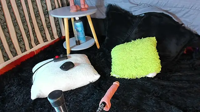 Show de webcam de Hugucam