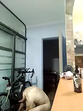 Pacobakan042 Pertunjukan Webcam