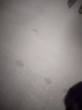 Bigdickdaddy3024's Webcam Show