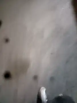 Polla-Grande_97's Live XXX Chat