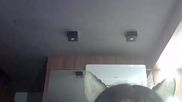 Chat XXX en directo de SkinnyKitten