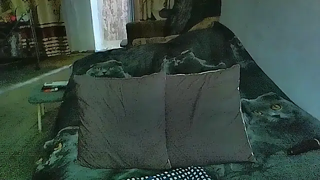 sex2: онлайн-секс-чат