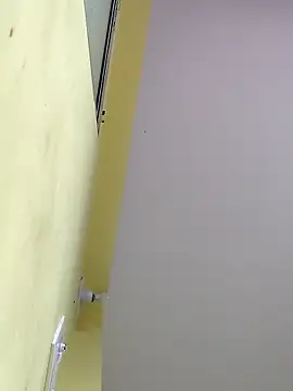 Show webcam de Minakshi-Gi