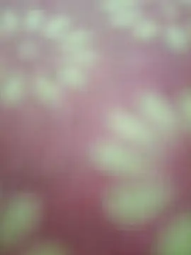 Živý XXX chat Nandani-758