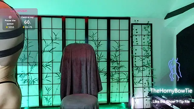 thehornybowtie Show Webcam