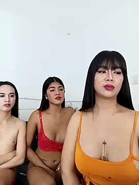 DominnantTransqueen Adlı Modelin Web Kamerası Şovu