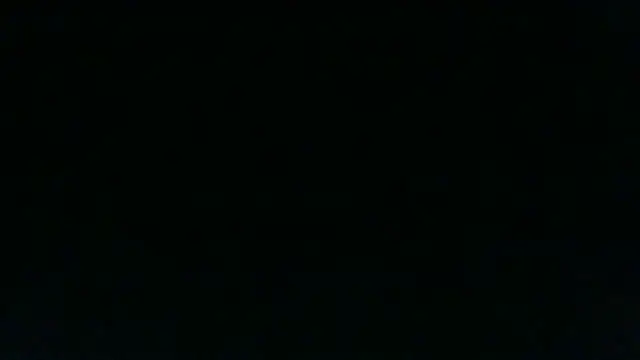 Pertunjukan Kamera Web chichoplus