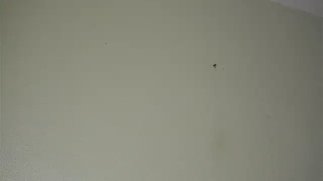 Chat XXX ao vivo de CarmaOlen