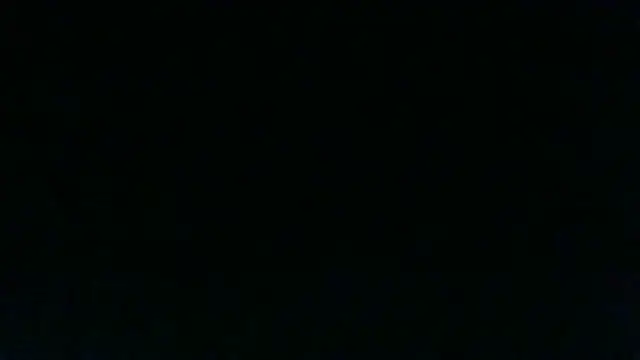 Show webcam de chichoplus