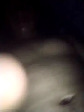 Pertunjukan Kamera Web RevokingWaverer