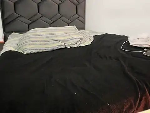 danypalmern Webbikameraesitys