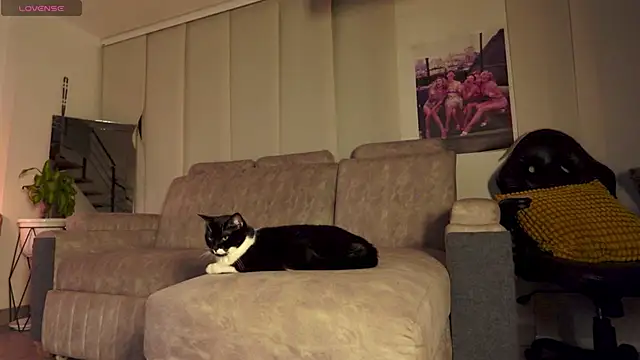 Amapola_999's Live XXX Chat