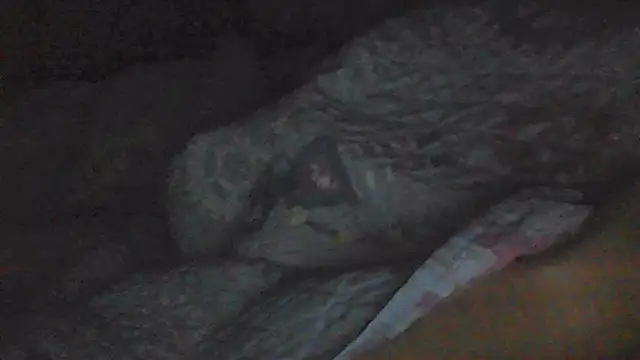 sarahkat86のライブXXXチャット