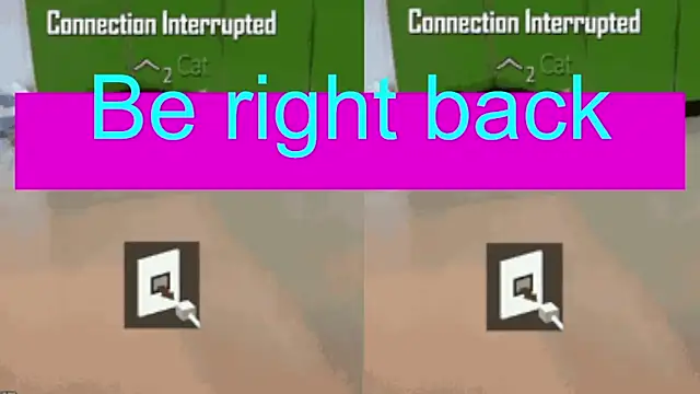 Pertunjukan Kamera Web BimboCat