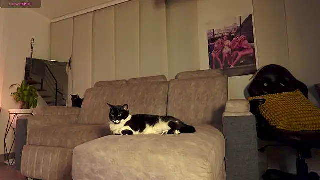 Amapola_999 élő XXX-chatje