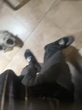 dingoding: απευθείας συνομιλία ΧΧΧ