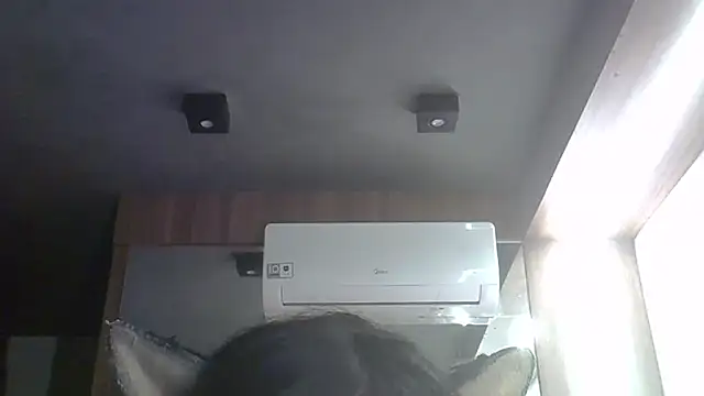 Pokazy przed kamerką – SkinnyKitten