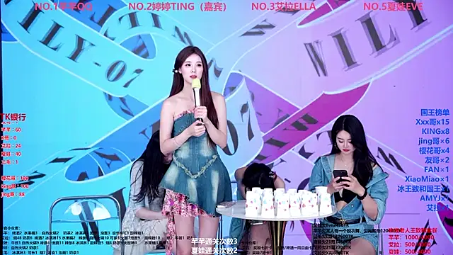 Wily-07 网络视讯表演