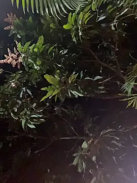 aurora_coldd's Webcam Show