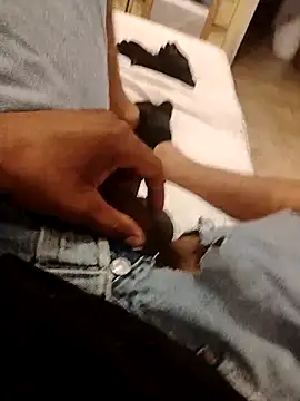 Pokazy przed kamerką – MicroForecast22