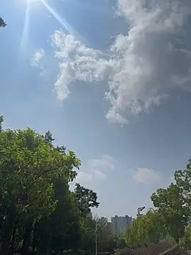 kara-tt – Live XXX-chat