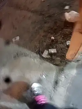 Polla-Grande_97n Webbikameraesitys