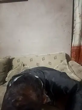 Franklin111230 webkamerás műsora