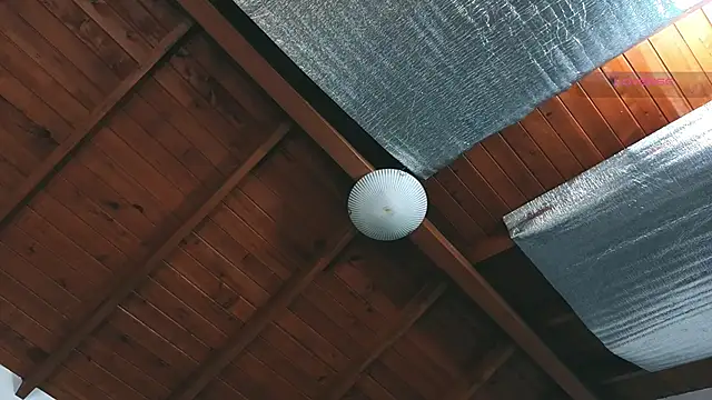 SilvaBrankon Webbikameraesitys