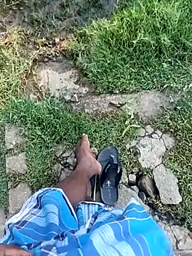 dolphiinn webcam show