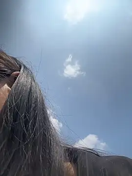 srr7788 Chat XXX in diretta