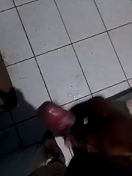 Ailton9865n Webbikameraesitys