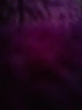 roc2311 – Kamerová šou