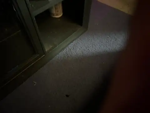 XXX chat uživo modela AidenMcKnight