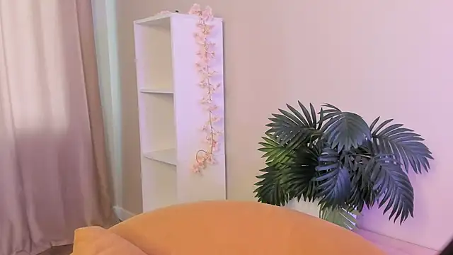 BetteSelbe Webcam-Show