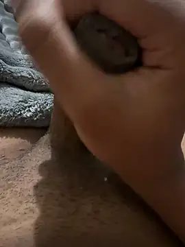 kakarot241515n Webbikameraesitys