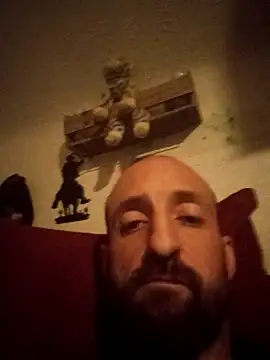 عرض كام A33destroyer2