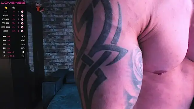 Show modela mark_normal na web-kameri