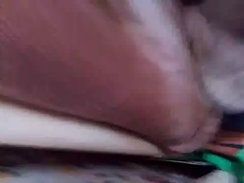 DiluvianLit's Webcam Show