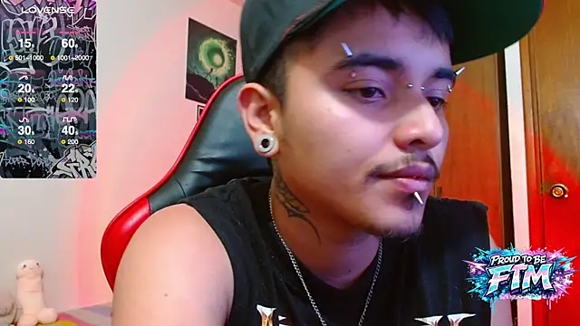 Hgp3riodictabl3n Webbikameraesitys