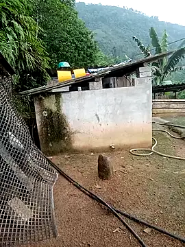 kalara_kail live XXX chat