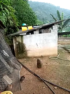 แชท XXX สดของ kalara_kail