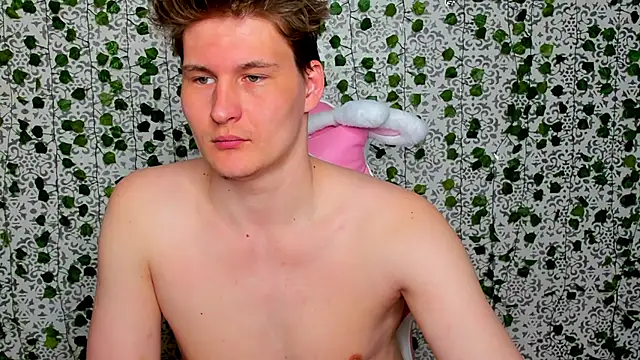 _Srifi_n Webbikameraesitys