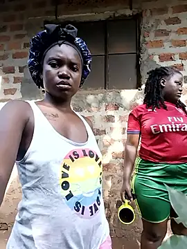 holygrail001n Webbikameraesitys