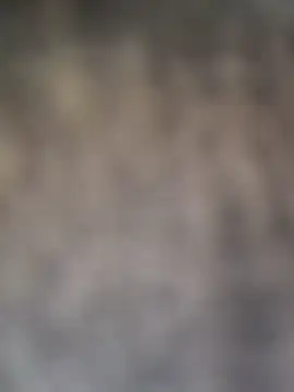 FoxyMoodn Live XXX chat