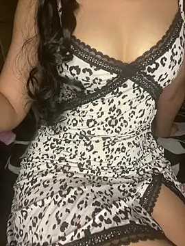 Show Webcam de ROUUH