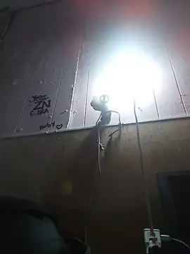 عرض كام cobrosdepagos