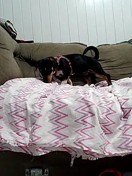 Lupita_sol 即時 XXX 聊天