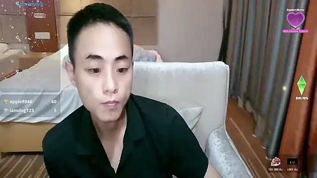 davidboys Show Webcam