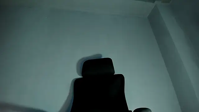 Show de webcam de Travtanner