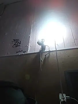 cobrosdepagos Show Webcam